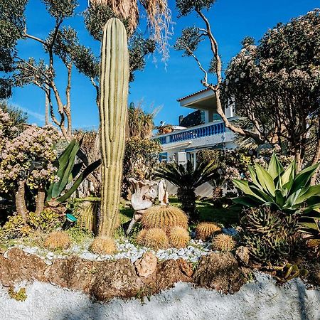Appartamenti Ischia Casa Don Peppe Forio di Ischia Екстериор снимка