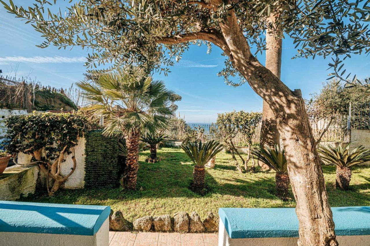 Appartamenti Ischia Casa Don Peppe Forio di Ischia Екстериор снимка