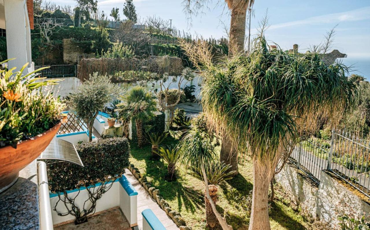 Appartamenti Ischia Casa Don Peppe Forio di Ischia Екстериор снимка