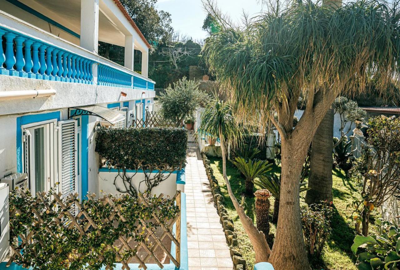 Appartamenti Ischia Casa Don Peppe Forio di Ischia Екстериор снимка